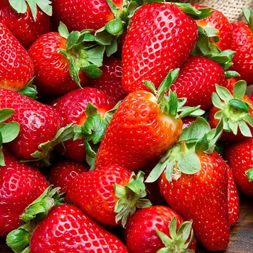 BloomHub Shop -BloomHub Shop 320070 1