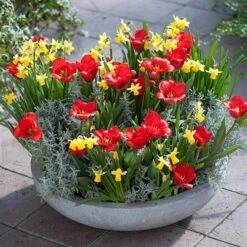 BloomHub Shop -BloomHub Shop 600243 1